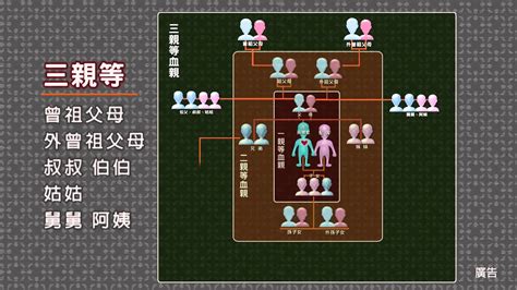 三等親有哪些|三親等內之親屬列表